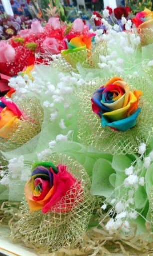 Flowers HD Wallpaper Free截图5