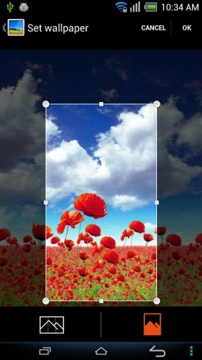 Sky Wallpapers截图5