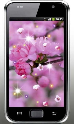 Best Sakura HD live wallpaper截图2