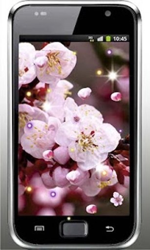 Sakura Gallery live wallpaper截图4