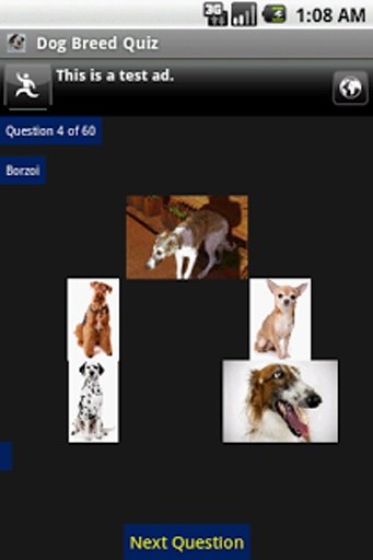 Dog Breed Quiz截图2