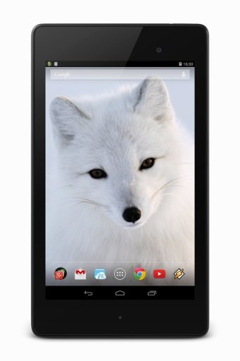 Arctic Fox截图2