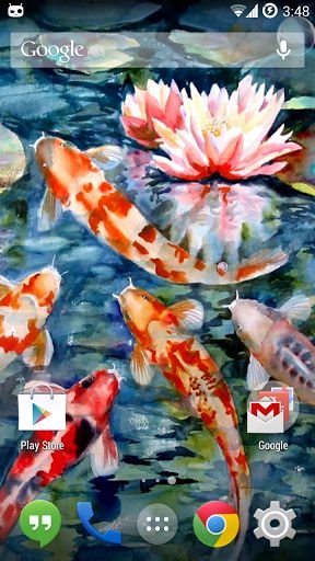 Koi Live Wallpaper截图5