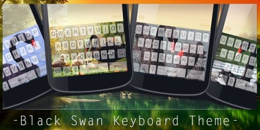 Black Swan Keyboard Theme截图1