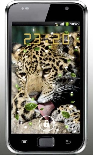 Jaguars Photo live wallpaper截图6