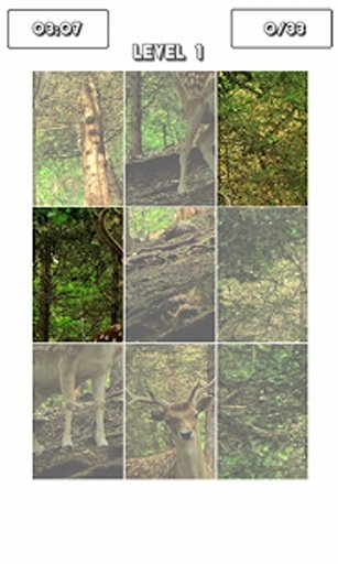 Forest Animals Puzzle!截图6