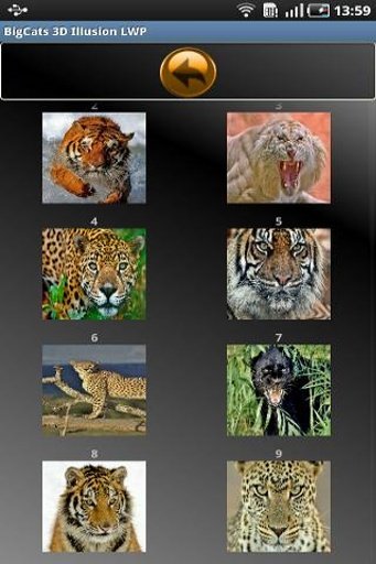 BigCats 3D Illusion LWP截图4