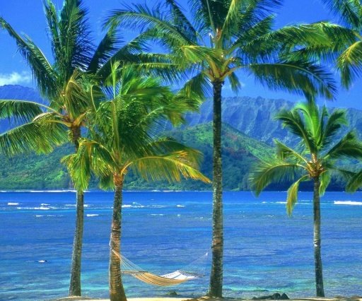 Beautiful Hawaii Scenery截图6