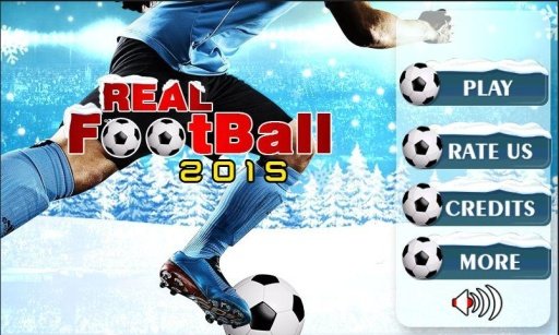 Real Football 2015 - ICE CUP截图1