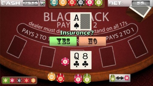 BlackJack Casino FREE &amp; FAST截图2