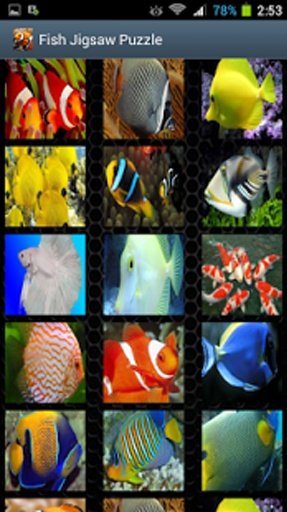 Fish Jigsaw Puzzles Games截图1