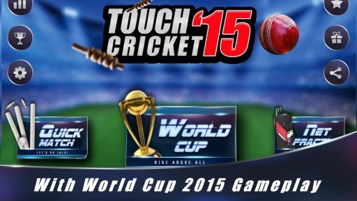 Touch Cricket World Cup 2015截图3