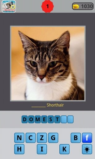 Guess for Cat Breeds截图6