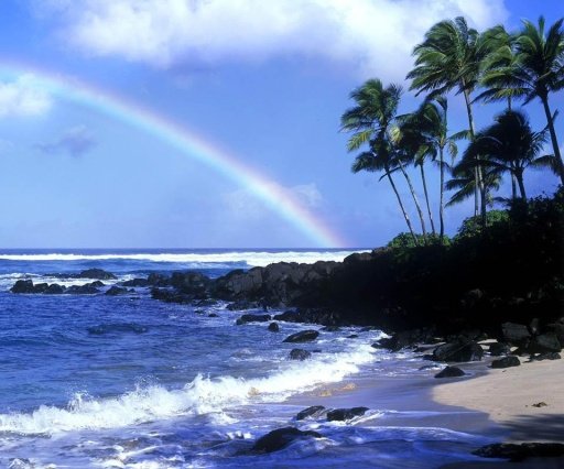 Beautiful Hawaii Scenery截图5