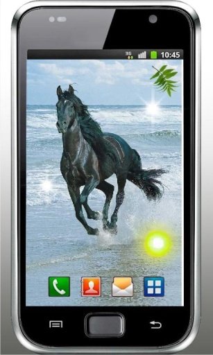 Horse Sea Beach live wallpaper截图2