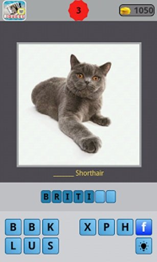 Guess for Cat Breeds截图3