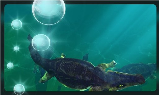 Crocodile Aquarium 3D LWP HD截图4