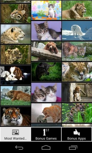 Most Wanted Animal Wallpapers截图3