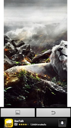 Wow Wow lion wallpaper截图8