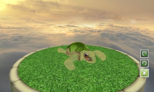 Turtle Pet3D截图2