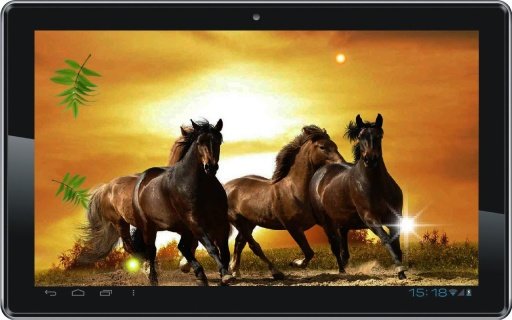 Horses Sunset live wallpaper截图5