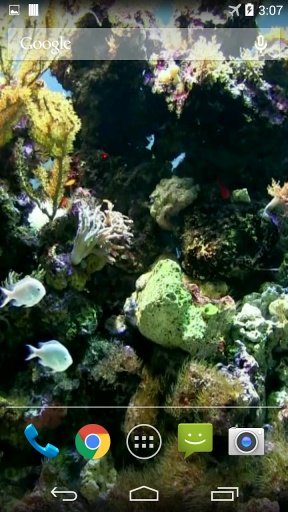 Natural Aquarium Wallpaper截图3