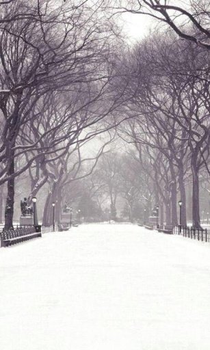 Winter Snow HD Wallpapers截图1