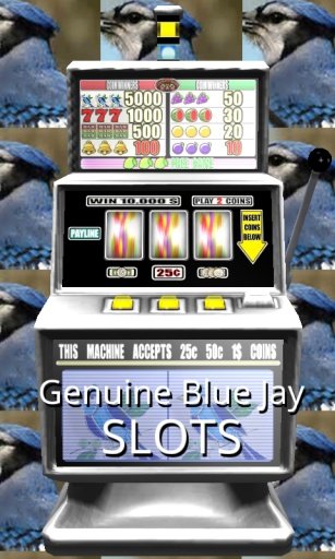 3D Genuine Blue Jay Slots截图1
