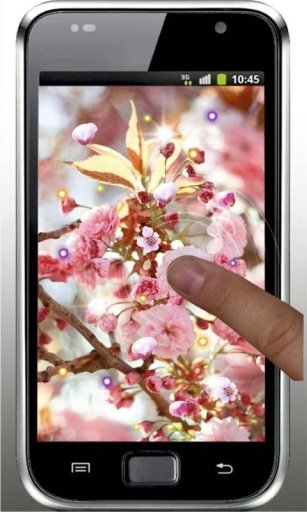 Sakura Gallery live wallpaper截图1