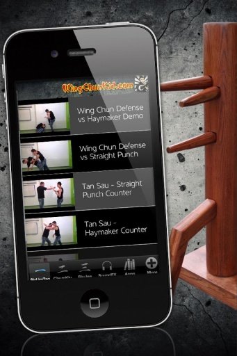 Yip Man Wing Chun Wushu截图5