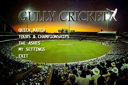 Gully Cricket Fun Game截图2