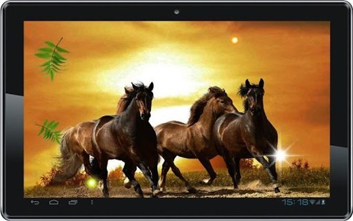 Horses Sunset live wallpaper截图6