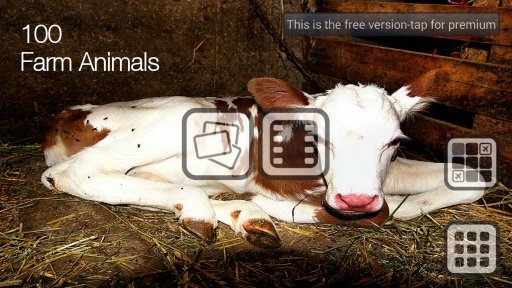 Free 100 Farm Animals截图2