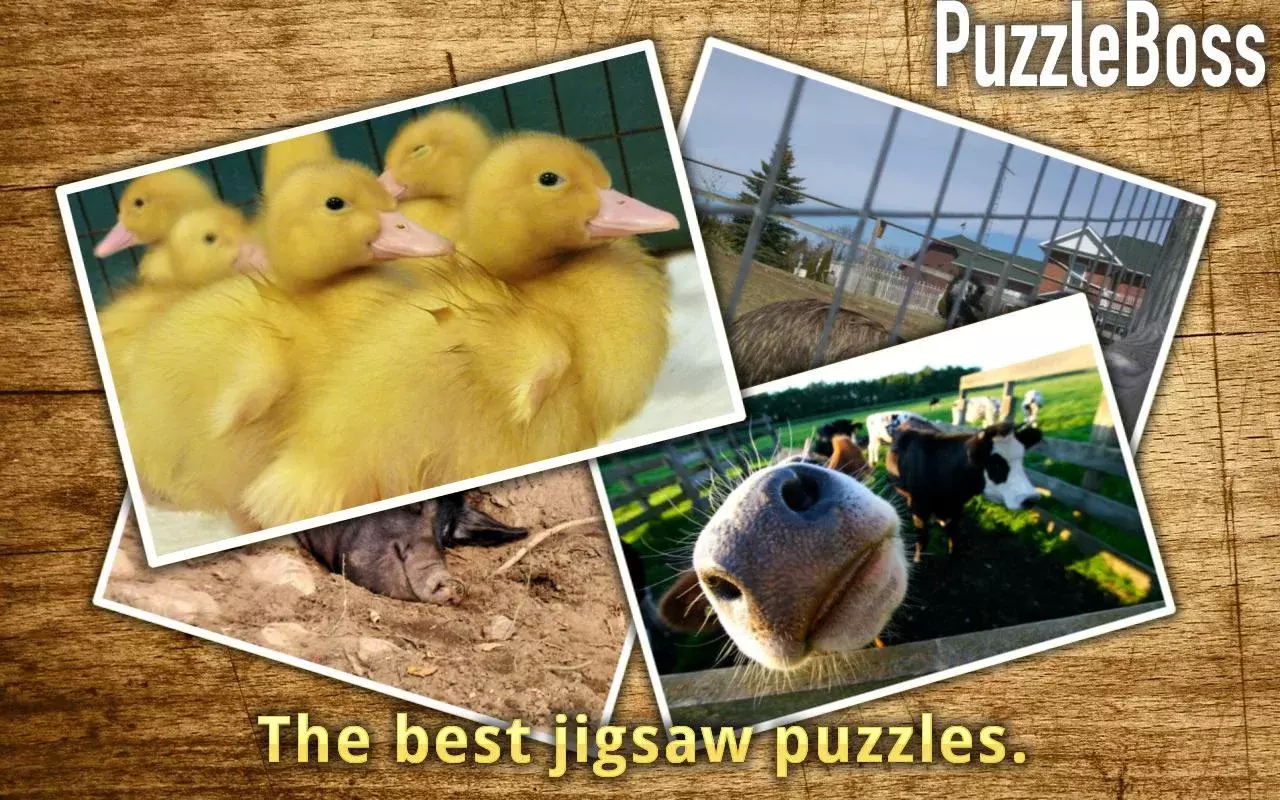 Farm Animal Jigsaws FREE截图8