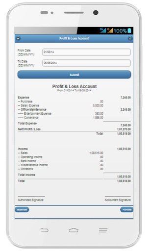 CloudAps Business Accounting截图3