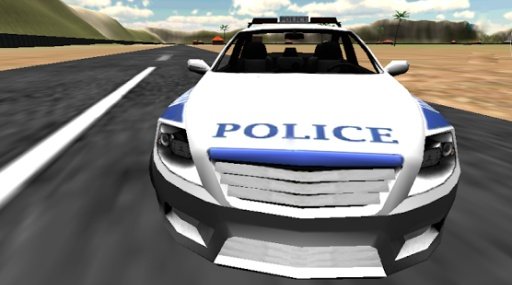 Police chase 3d unreal cops截图2