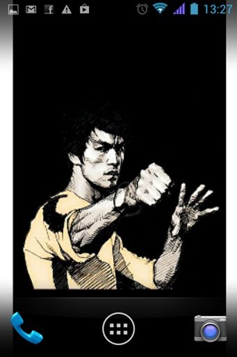 Bruce Lee Wallpapers截图7