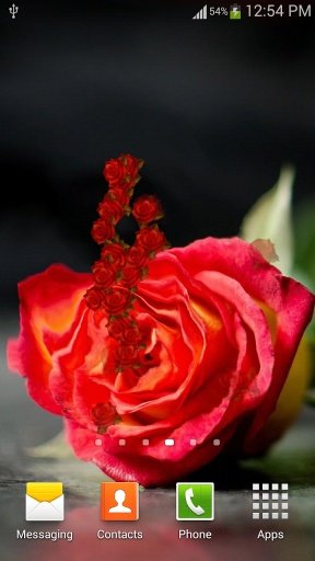 Rose HD Live Wallpaper截图3