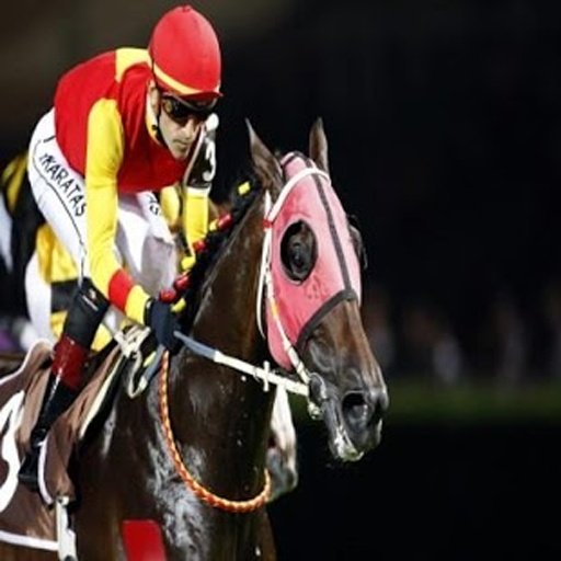 Horse Racing Star截图4