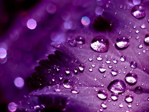 Galaxy S4 VIOLET LIVEWallpaper截图9