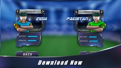 Touch Cricket World Cup 2015截图2