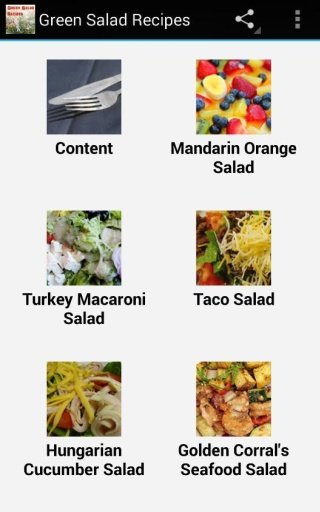 Green Salad Recipes截图1