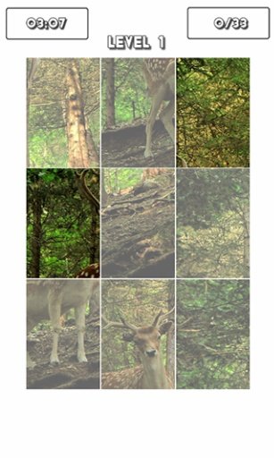 Forest Animals Puzzle!截图8