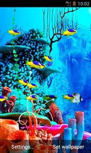 Sea World Live Wallpaper截图5