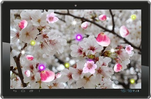 Sakura Spring live wallpaper截图5