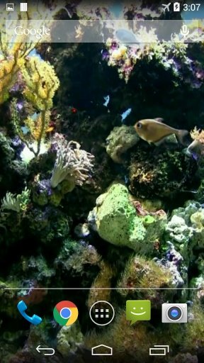 Natural Aquarium Wallpaper截图2