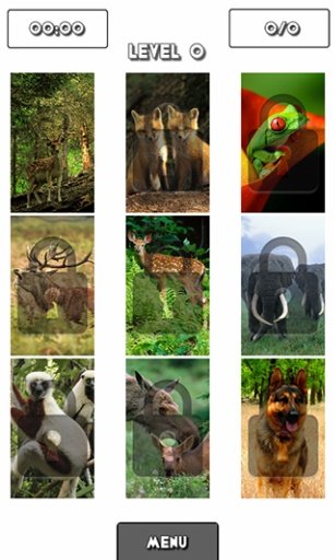 Forest Animals Puzzle!截图4