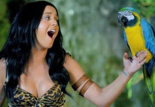 Katy Perry Roar Find Game截图1