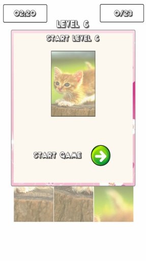 Kitten Puzzles Free截图8