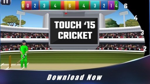 Touch Cricket World Cup 2015截图4